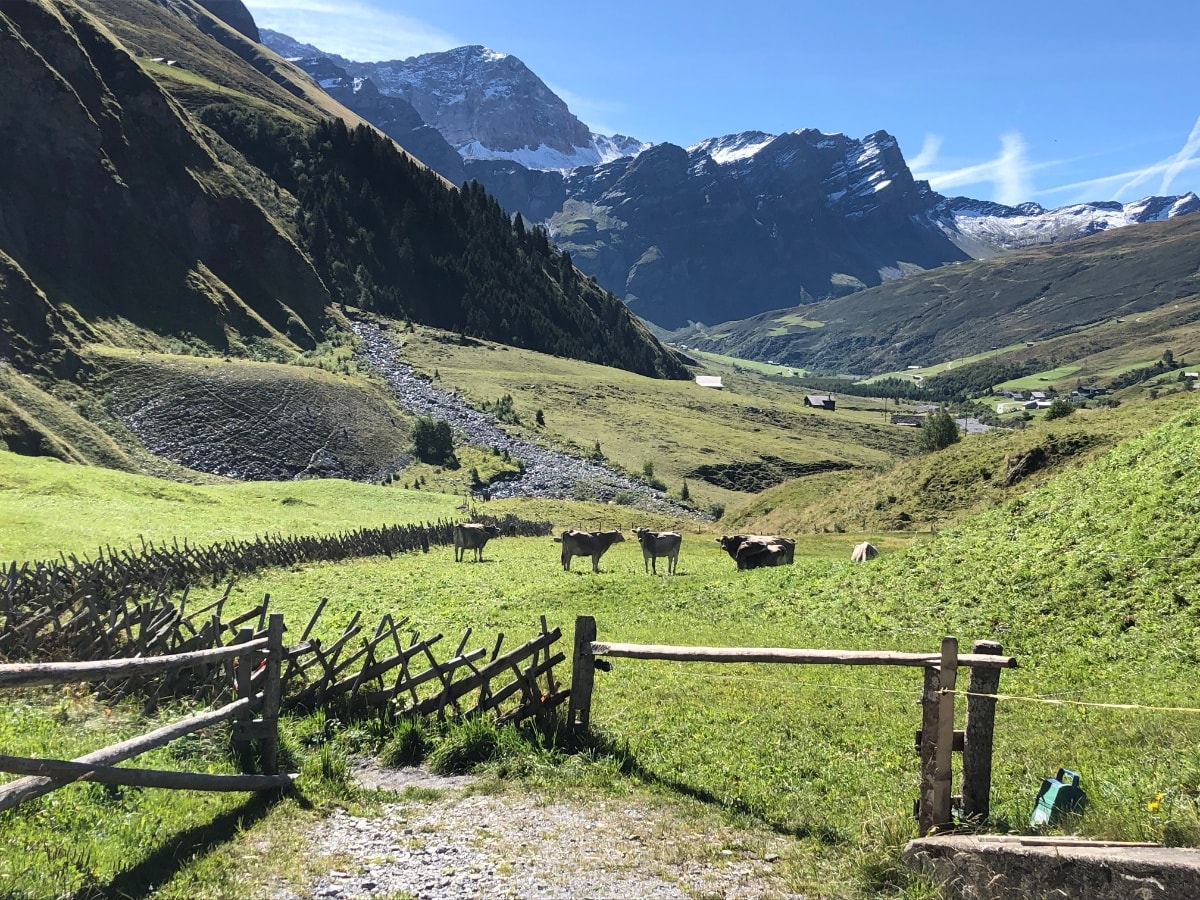 Geschichte: Von Thalkirch zum Wasserfall Z'Hinderst