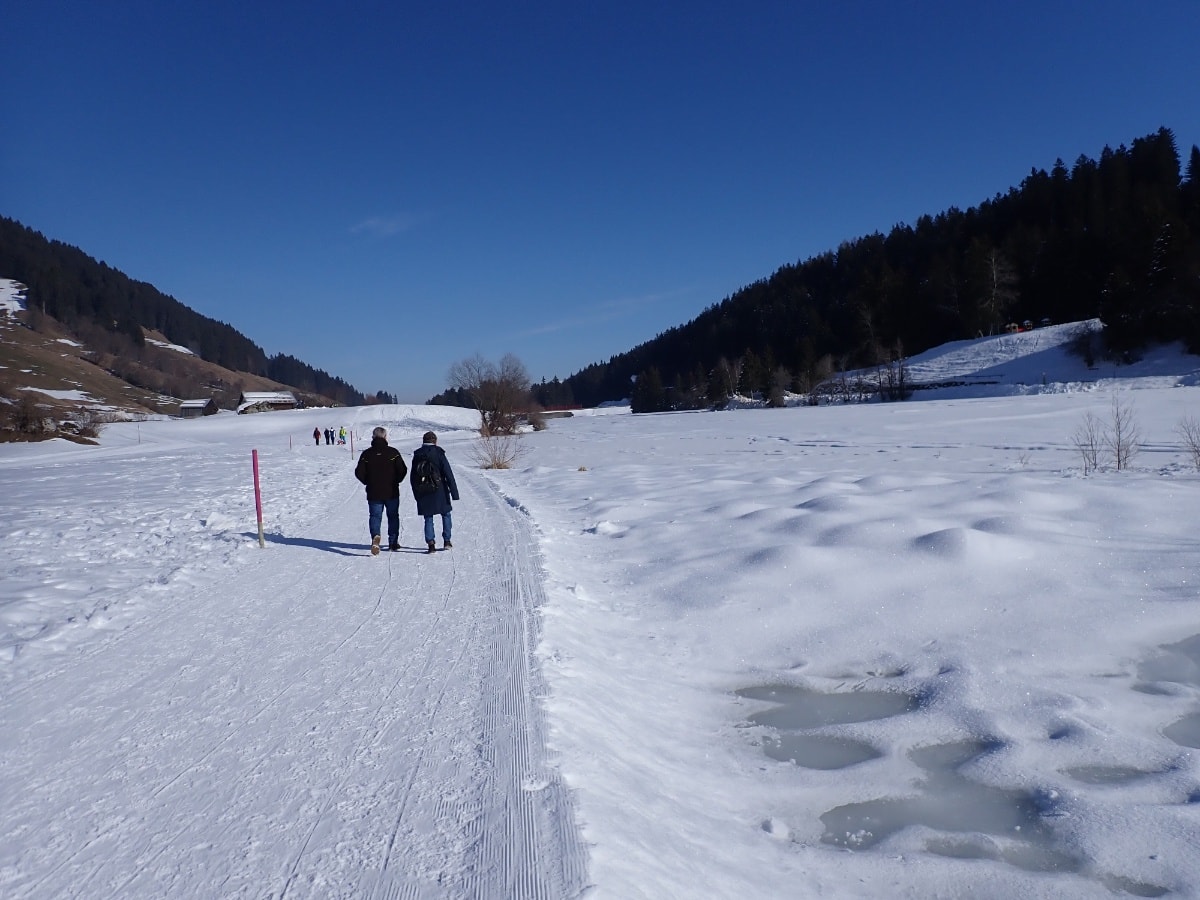 Geschichte: Winterwandern: kurzer Seerundgang am Brigelser See