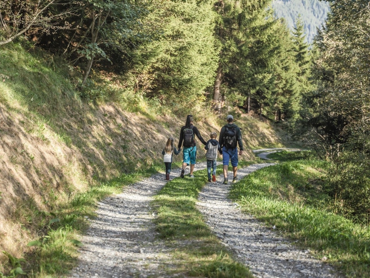 Geschichte: Waldlehrpfad Lumnezia