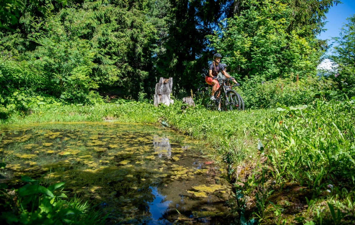 Geschichte: Dachlisee Rundtour