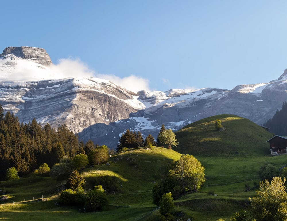 Grüne Hügellandschaft mit Schneebergen im Hintergrund, blauer Himmel