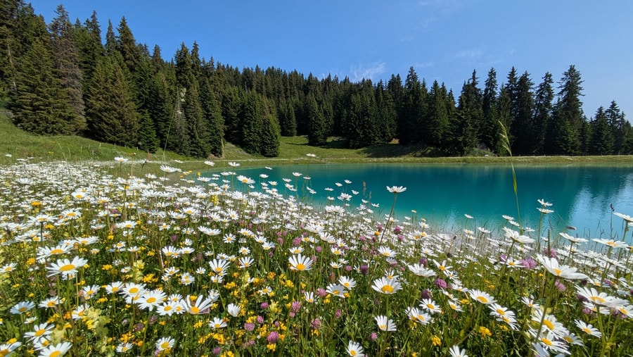 Geschichte: Lumnezia im Sommer