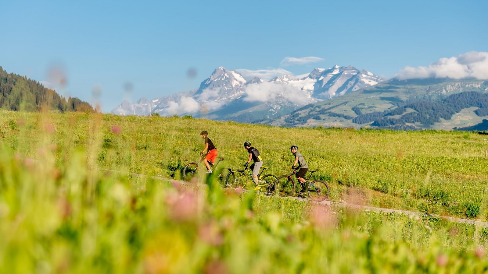 Biken im Sommer in den Bergen