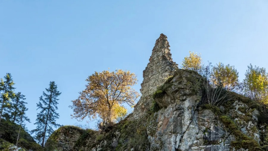 Geschichte: Ruine Friberg, Siat