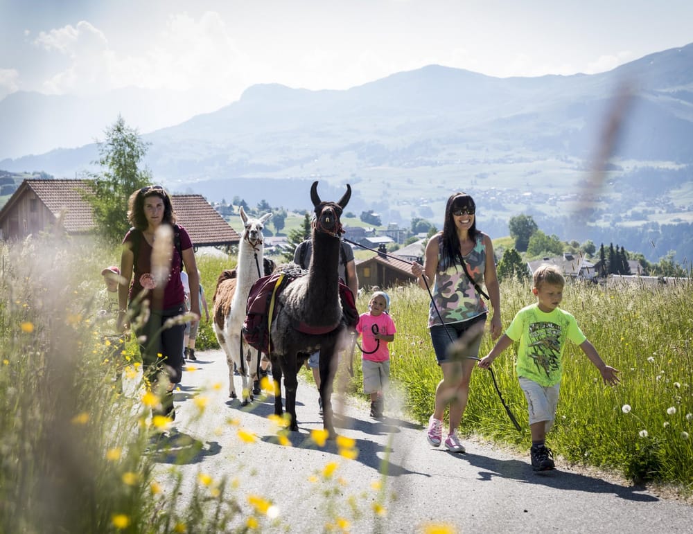 Familienwanderung mit Lamas im Sommer