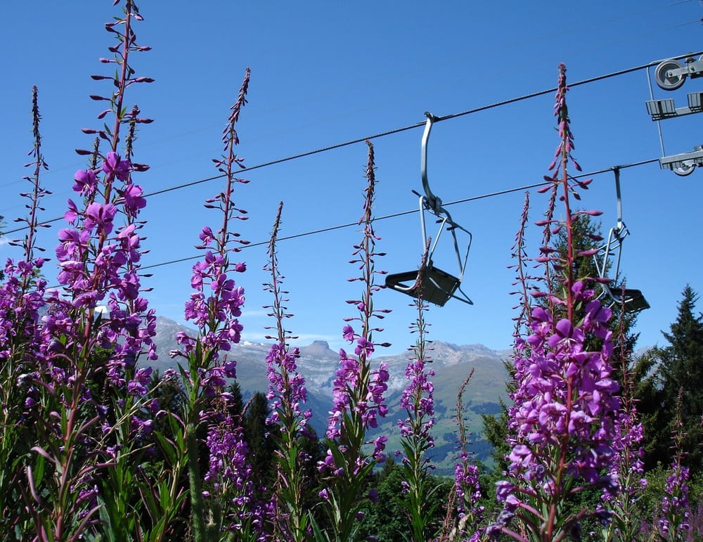 Sessellift Bergbahnen Obersaxen Mundaun im Sommer