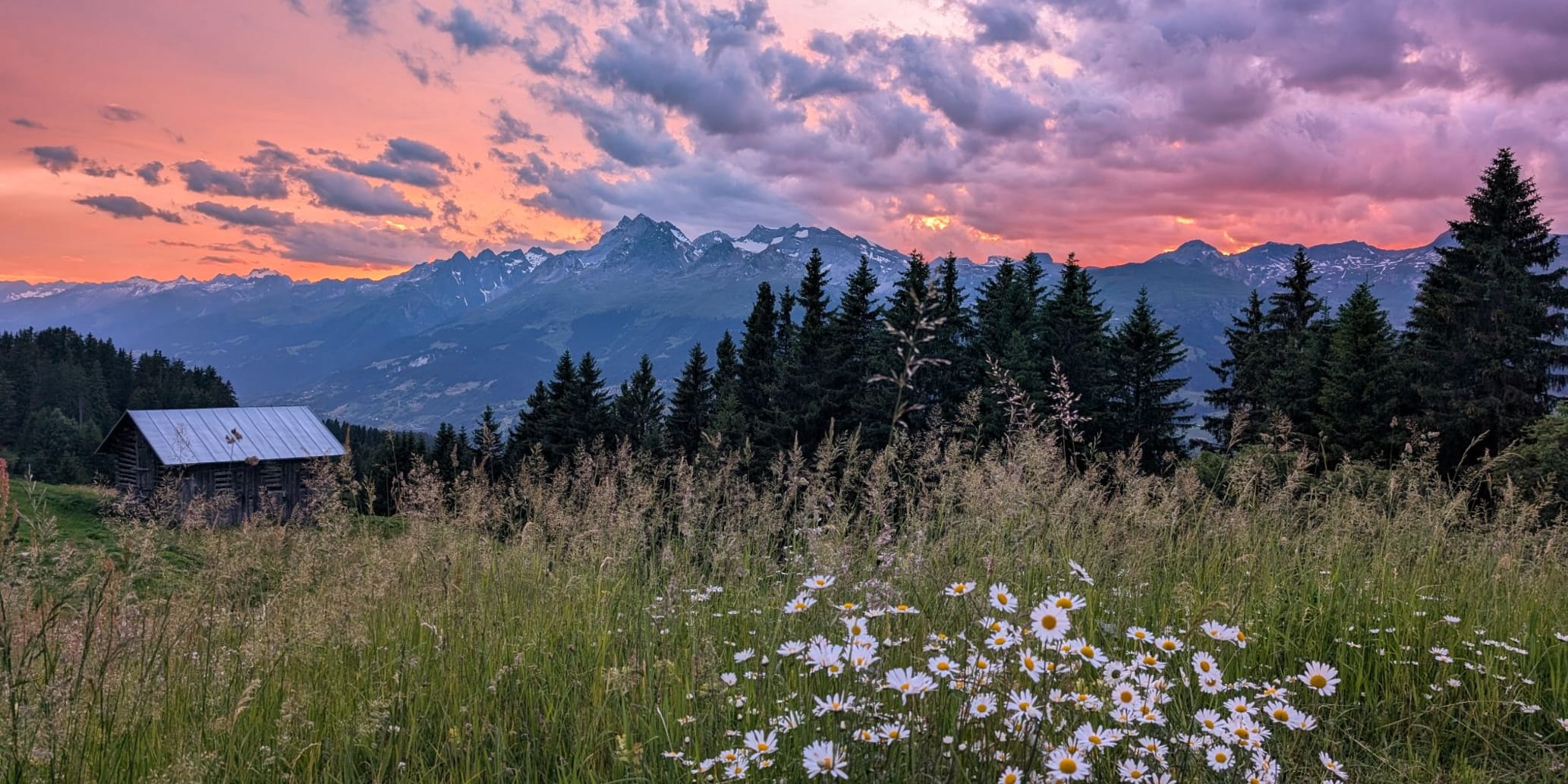 Gutscheine Header