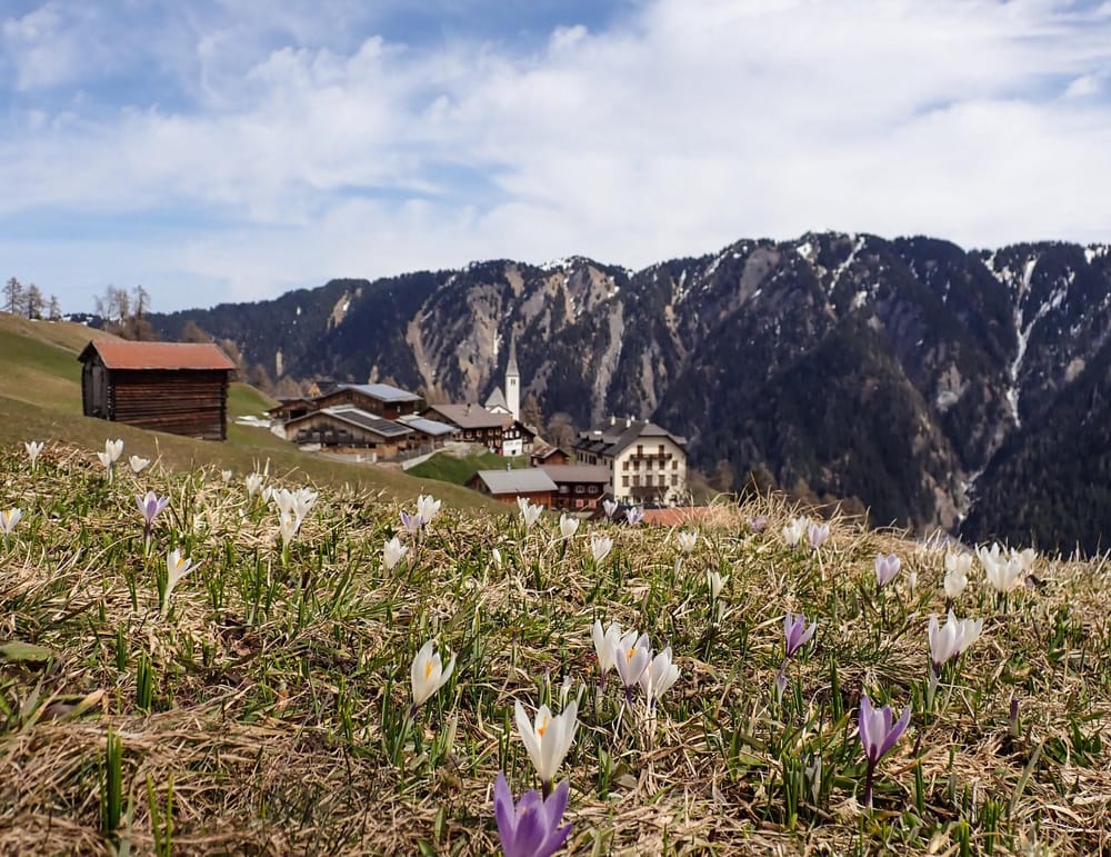 Bergfrühling in der Surselva