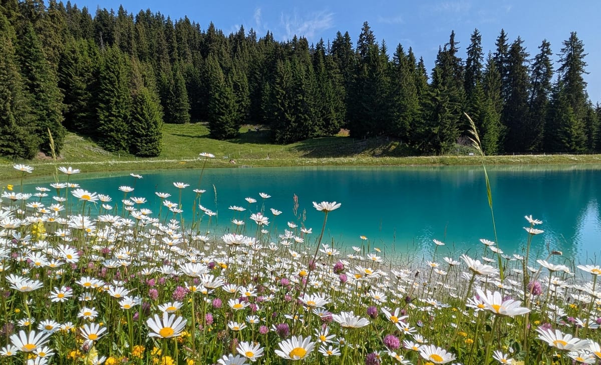 Frühling in der Surselva
