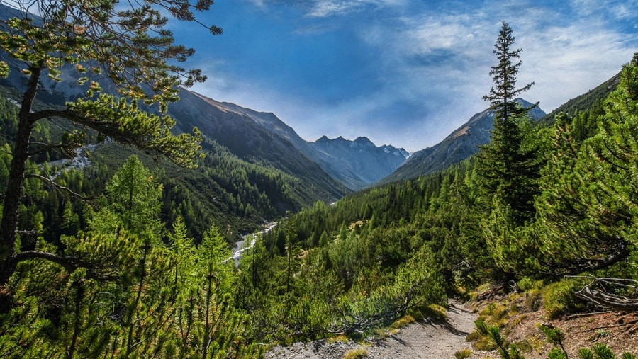 Geschichte: Schweizerische Nationalpark