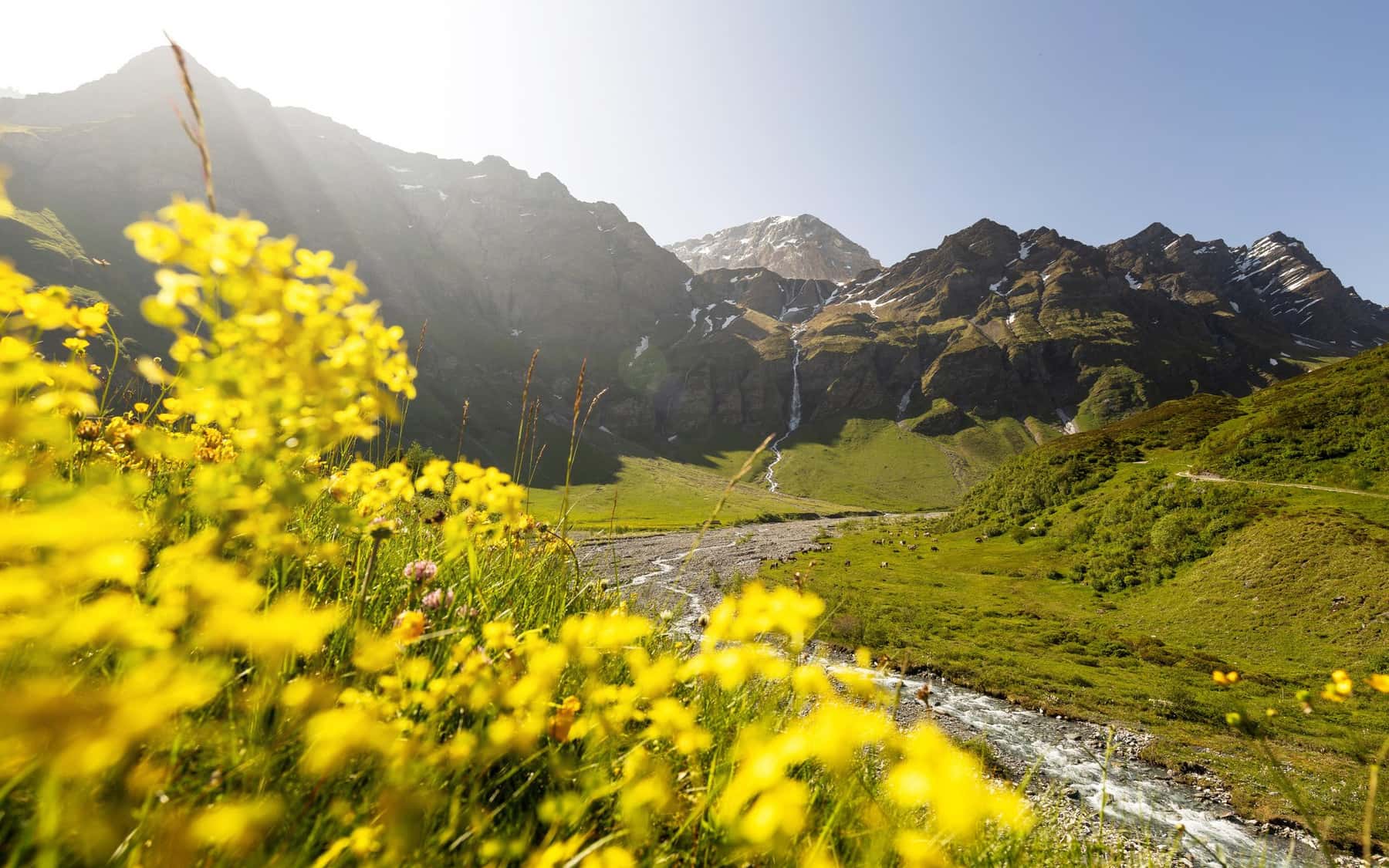 Safiental im Frühling