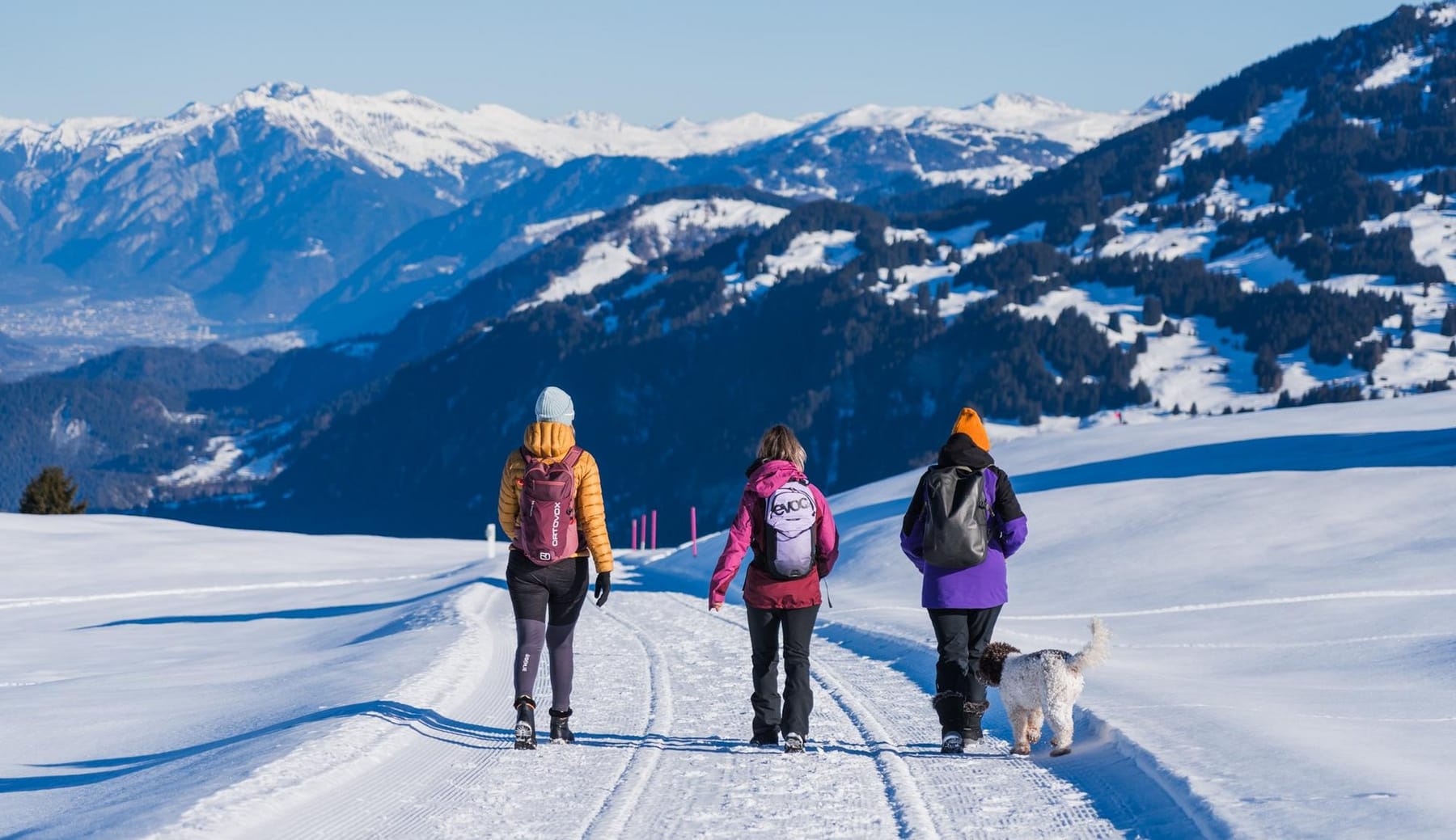 Winterwandern in der Surselva