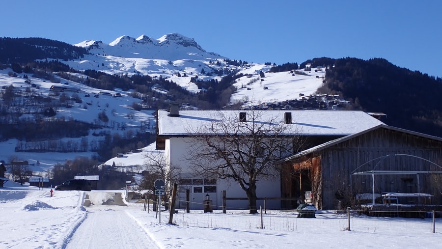 Geschichte: Winterwandertipps in Ilanz/Glion
