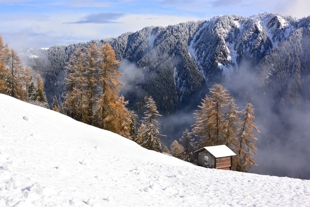 Geschichte: Winterwandern Waldweg Tenna