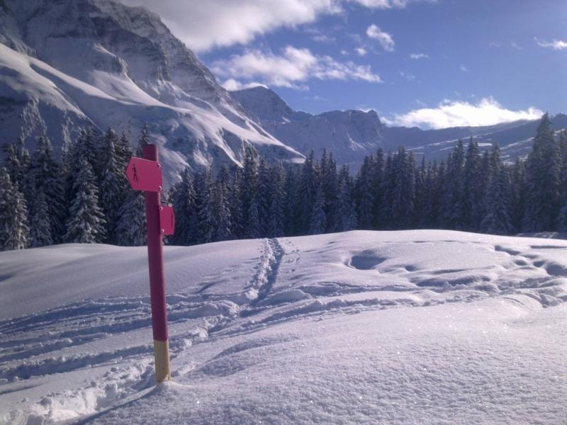 Geschichte: Signalisierter Schneeschuhtrail: Camana kurz