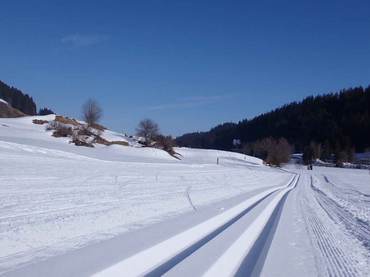 Geschichte: Langlaufloipe Migliè / Plaun sut, Brigels