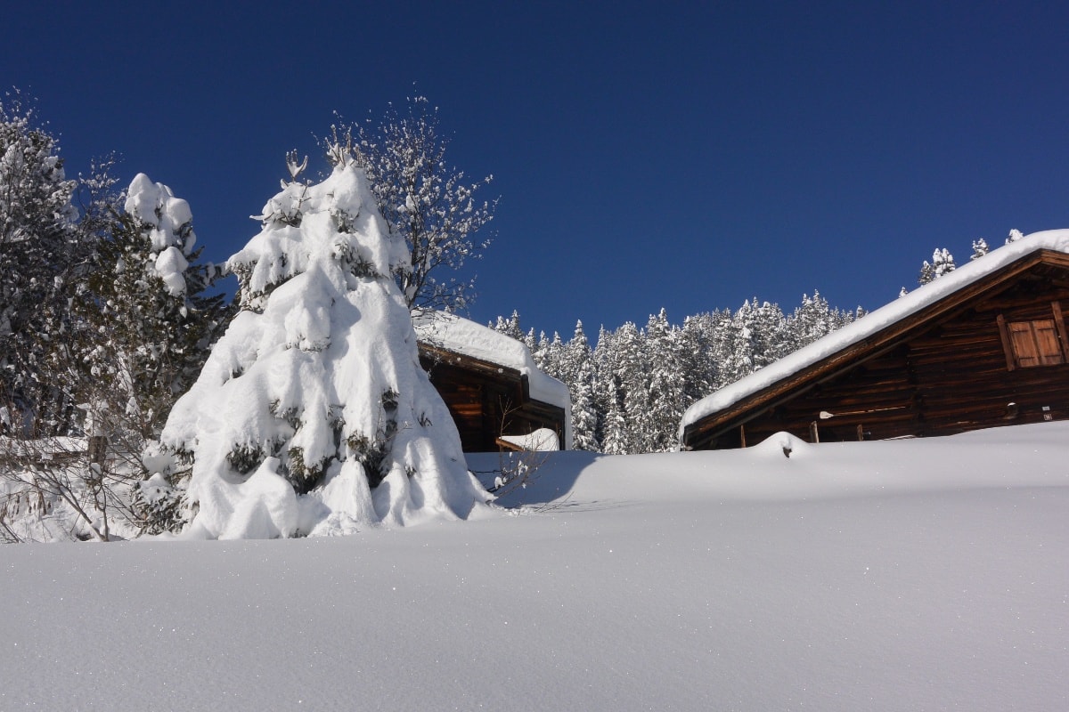 Geschichte: Signalisierter Schneeschuhtrail: Tenner Alp