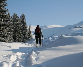 Schneeschuhtour Surcuolm / Bündner Rigi