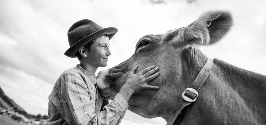Ein Bauer umarmt eine Kuh.